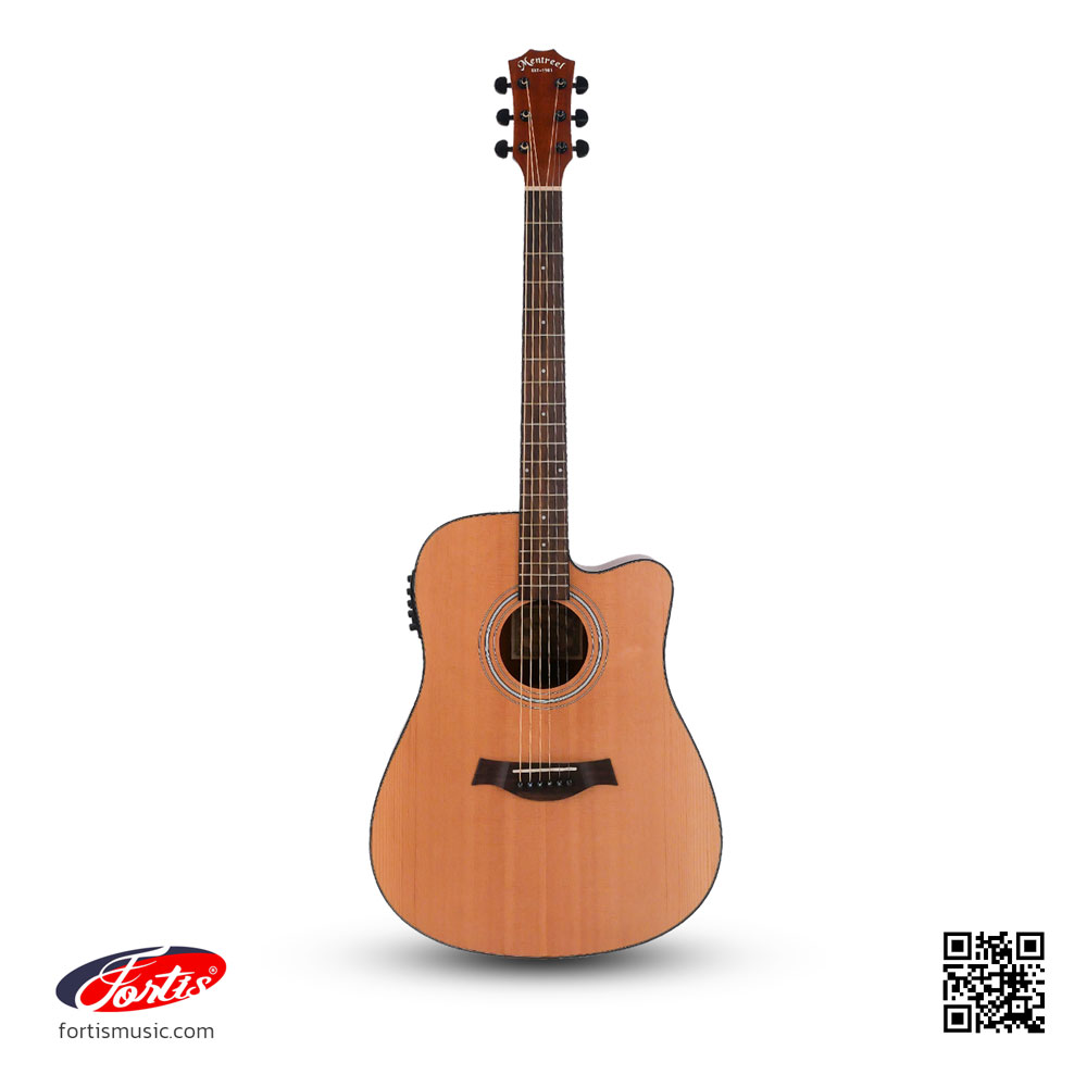 SHAPE : กีตาร์โปร่งไฟฟ้าขนาด acoustic guitar 41 inch นิ้ว ทรง dreadnought