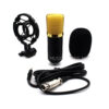 Condenser Microphone ไมค์คอนเดนเซอร์ S-810 หัวไมค์สีทอง พร้อมสายเชื่อมต่อ