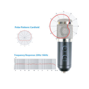 ไมค์คอนเดนเซอร์ Condenser Microphone U-67